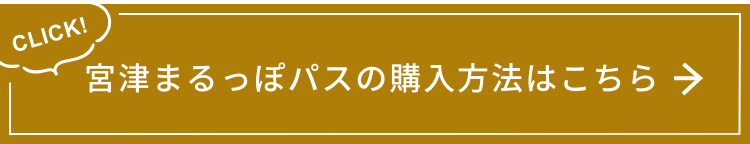宮津天橋立まるっぽパスの購入方法はこちら！